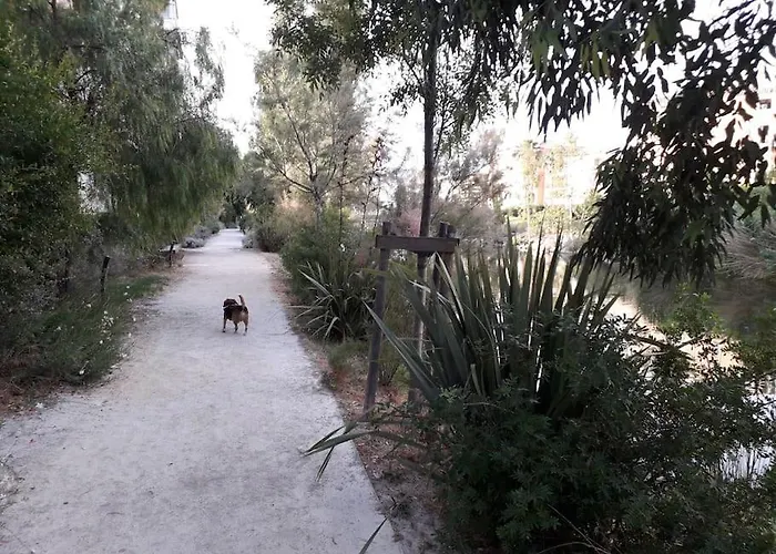 Διαμέρισμα Antinea 22 Avec Parking Prive Clim Vue,mer